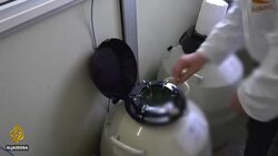 Race to save the northern white rhino boosted as two more embryos produced News Clip