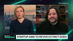 Going Viral: $1B Startup Aims to Revive Extinct Dodo News Clip