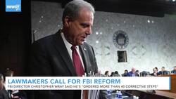 Lawmakers Call For FBI Surveillance Reform After Horowitz Report News Clip