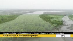 Human trafficers taking advantage of climate refugees News Clip