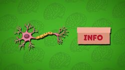 I WONDER - What Is A Neuron? Instructional Video