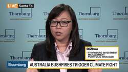 Renewable Energy Stocks Favored, Thornburg Investment Says News Clip