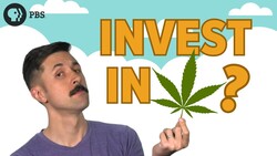 Should I Invest In Cannabis Stocks? Instructional Video