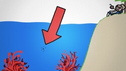 Why Did It Take Us So Long? Instructional Video