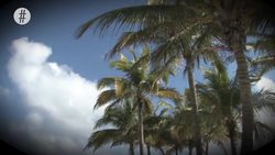 9 Strangest Phobias People Actually Have Instructional Video