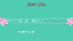 Transverse & Longitudinal Waves Instructional Video