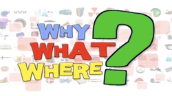 Zebra Fun Facts: Stripes, Lifespan, and Behavior Instructional Video