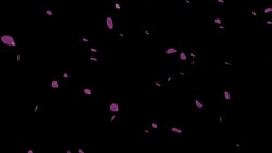 particle flower02 Stock Footage