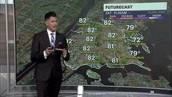 Mostly sunny Sunday with chance of chance of late stray shower for the Bronx Instructional Video