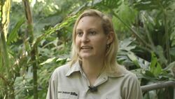 This Orangutan Is Finally Branching Out on Her Own Instructional Video