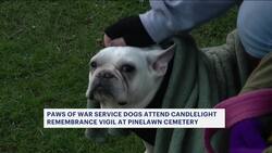 Paws of War service dogs attend candlelight remembrance vigil in Farmingdale News Clip