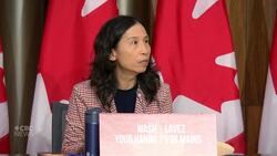 Canada's chief public health officer says it's up to everyone to fight fake news News Clip