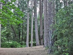 Impacto en la tierra: cambios en la tierra Instructional Video