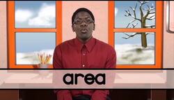 Review for You: Perimeter and Area Instructional Video