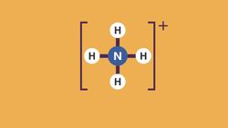 Ammonium Salts and Solutions Instructional Video