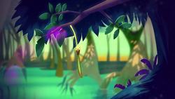 The sharks that hunt in forests | Luka Seamus Wright Instructional Video