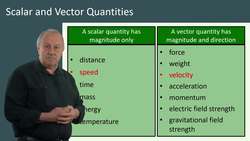 Introduction to Scalar and Vector Quantities Instructional Video