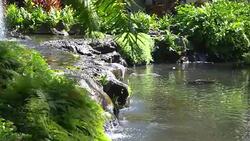 Waterfall in slow motion 180fps Stock Footage