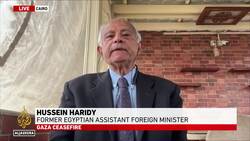 Egyptian ex-diplomat highlights outside ‘pressure’ to get Gaza deal Instructional Video