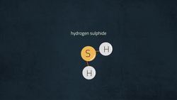 Properties of Hydrogen Instructional Video