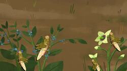 TED-Ed: Are locust plagues unstoppable? | Jeffrey A. Lockwood Instructional Video