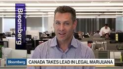 Canada's Legal Pot Debut Greeted by Plunging Cannabis Stocks News Clip