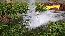 Watering in the field Stock Footage
