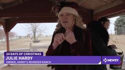 Reindeer Ranch Offers Real-Life Comet, Blitzen and Vixen News Clip