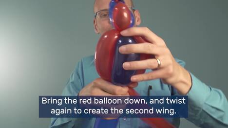 Do Try This At Home: Balloon Parrot