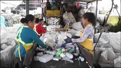 The Brief: A closer look at the European Greens News Clip