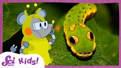 These Caterpillars Don't All Look Like Caterpillars | SciShow Kids Instructional Video