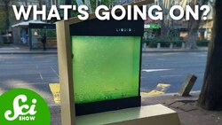 The Future Of Trees Is Liquid Instructional Video