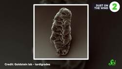 The Lazy Animal’s Guide To Travel Instructional Video