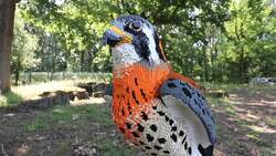 Marwell Zoo prepares to reopen News Clip