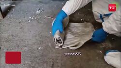 Russia DECIMATES Ukraine’s ’Sinister’ Plan; Chemical Drone Munitions Seized In Donetsk News Clip