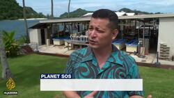 Could 'Super Corals' help save the world's reefs? News Clip