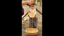 Natural way to create a coconut lip balm Instructional Video