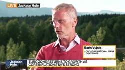 ECB's Vujcic: More Price Data Needed to Determine Interest Rate Peak News Clip