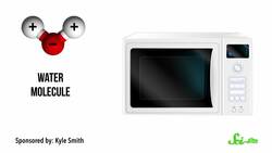 Does Microwaving Food Destroy Its Vitamins? Instructional Video