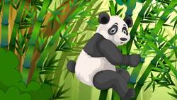 I'm Going to the Zoo Song | Animal Sounds at the Zoo Instructional Video