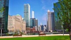 Nature. Business. Downtown. Chicago Stock Footage