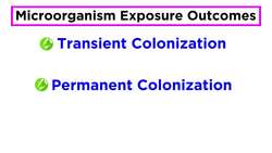 Microorganisms and Humans Commensal and Pathogenic Flora Instructional Video