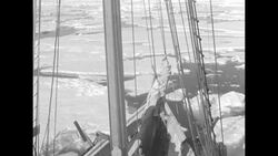 Effie M. Morrissey schooner on Peary Memorial Expedition with Captain Bob Bartlett near Cape York, Greenland in 1932 News Clip