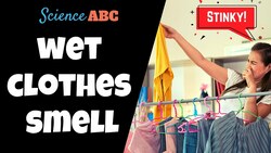 Why Do Damp Clothes Smell Bad? Instructional Video