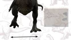 Giganotosaurus vs. T Rex: Who Was The Deadliest Predator? Instructional Video