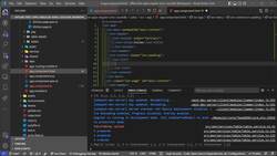 Offline-First Apps with Angular, Ionic, PouchDB, and CouchDB - Adding Custom Fonts Instructional Video