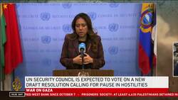 UN Security Council vote on Gaza delayed until Thursday: Diplomats News Clip