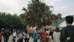 Wishing Trees Instructional Video