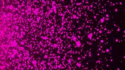 Many abstract small violet particles in space, computer generated abstract background Stock Footage