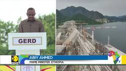 Ethiopia inaugurates Africa's biggest dam amid regional tensions News Clip
